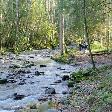 Ferienhaus Wetzel Weiler-Simmerberg Luaran gambar