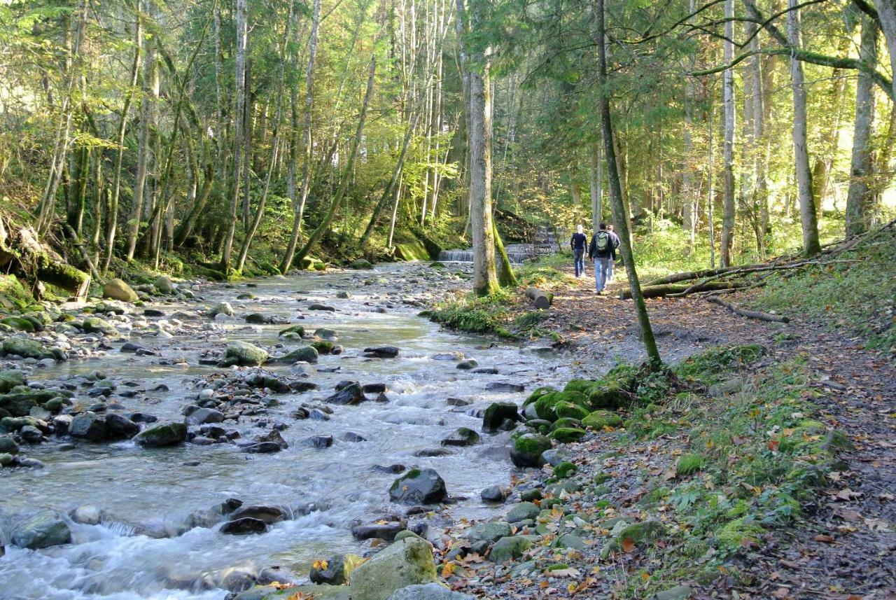 Ferienhaus Wetzel Weiler-Simmerberg Luaran gambar